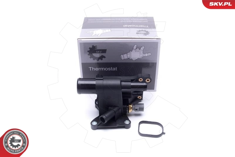 Thermostat, coolant